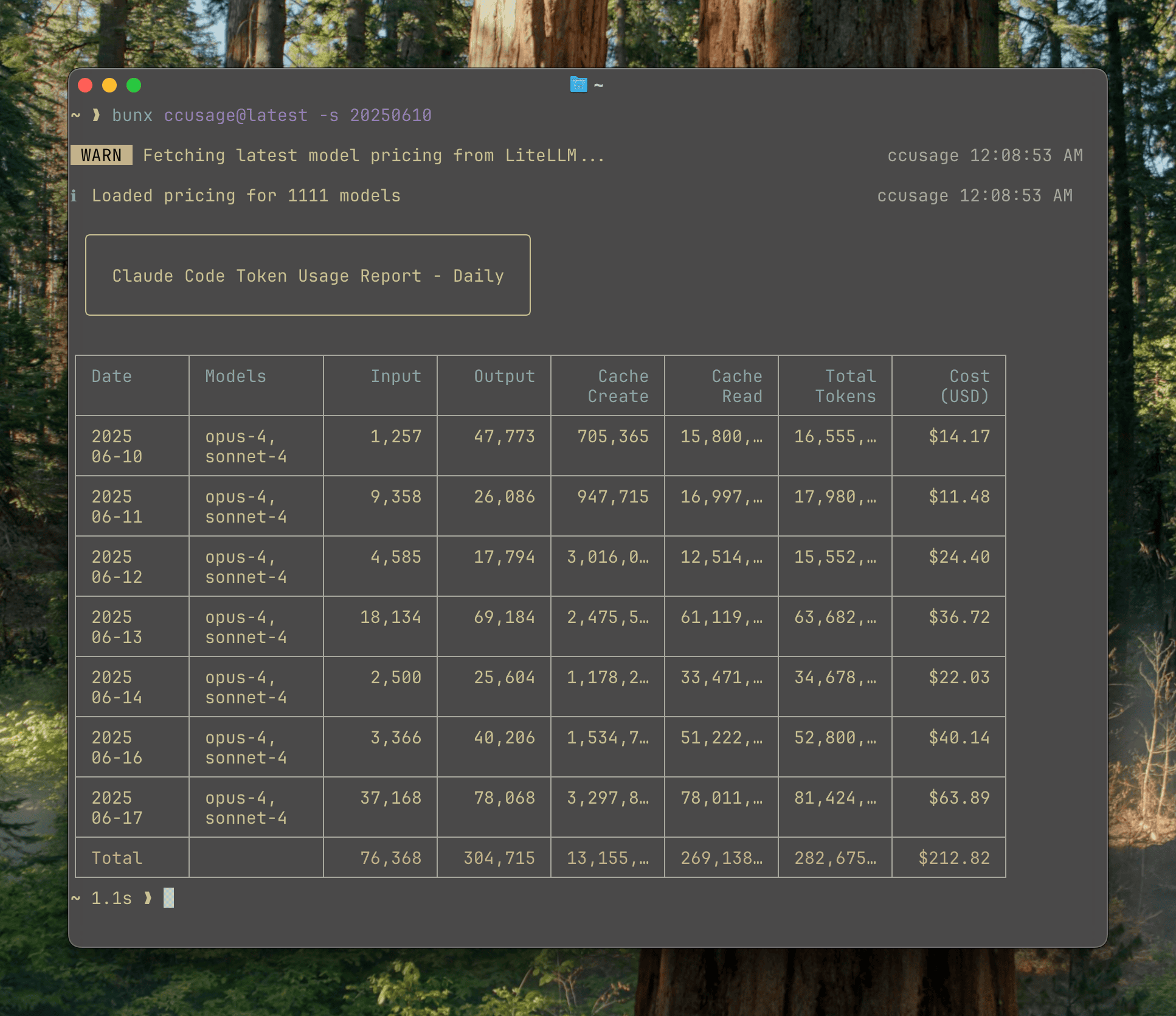 Daily usage report showing token usage and costs by date with model breakdown